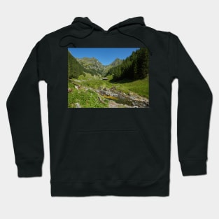 Wooden house in a mountain landscape Hoodie